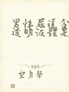 男性尿道分泌出透明液体是什么封面