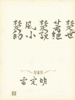 楚风楚芸楚鸿飞的小说绝世神皇封面