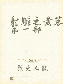 射雕之黄蓉新传第一部封面