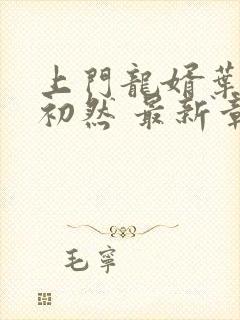 上门龙婿叶辰萧初然 最新章节