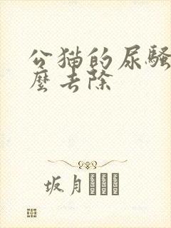 公猫的尿骚味怎么去除封面