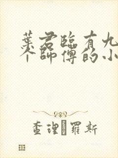 叶君临有九十九个师傅的小说