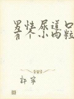 男性尿道口旁边有个小肉粒封面