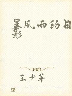 暴风雨的日本电影封面