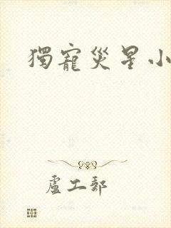 独宠灾星小夫郎