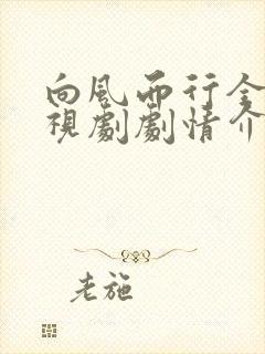 向风而行全集电视剧剧情介绍封面