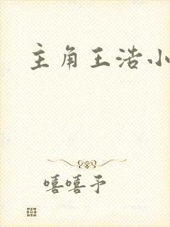 主角王浩小说封面