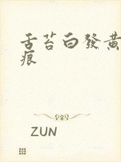 舌苔白发黄有齿痕