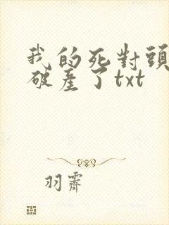 我的死对头终于破产了txt