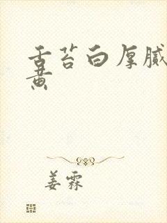 舌苔白厚腻有点黄