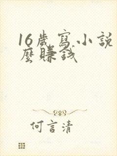 16岁写小说怎么赚钱