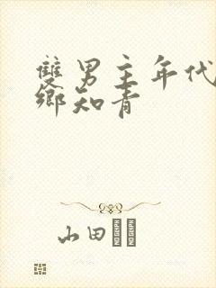 双男主年代文下乡知青封面