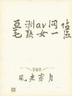 亚洲av网站浓毛熟女一区