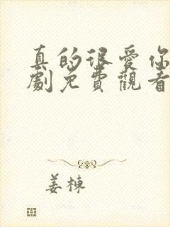 真的很爱你电视剧免费观看