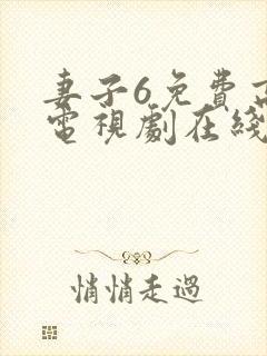 妻子6免费高清电视剧在线观看