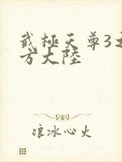 武极天尊3之魔方大陆