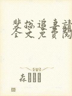 裴总追妻请排队全文免费阅读小说