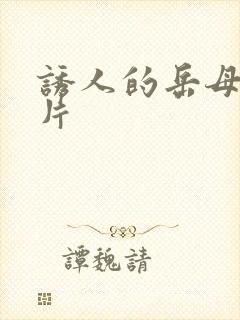 诱人的岳母韩国片