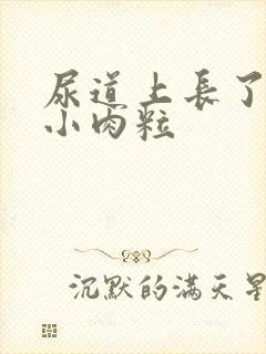 尿道上长了好多小肉粒