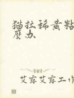 猫拉稀黄粘稠怎么办