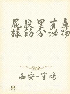 屁股里有鼻涕一样的分泌物