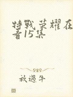 特战荣耀在线观看15集