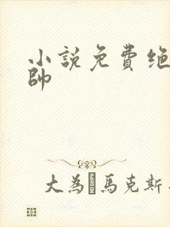 小说免费绝世龙帅