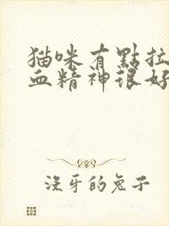 猫咪有点拉稀带血精神很好