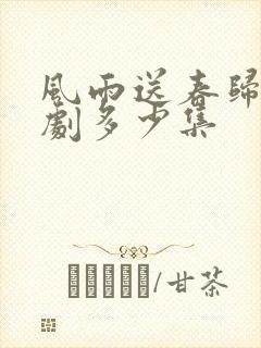 风雨送春归电视剧多少集封面