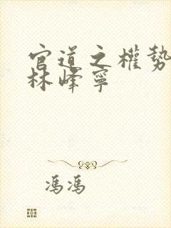 官道之权势滔天林峰宁