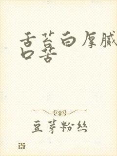 舌苔白厚腻口干口苦