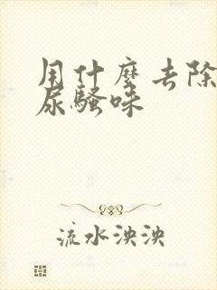 用什么去除狗的尿骚味