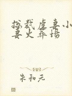 总裁虐妻小心追妻火葬场封面