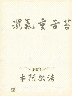 湿气重舌苔白厚