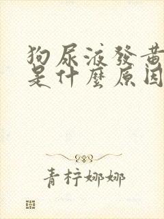 狗尿液发黄很稠是什么原因封面