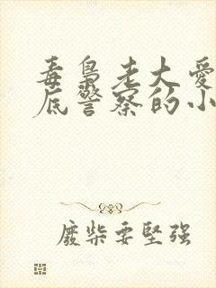 毒枭老大爱上卧底警察的小说男男