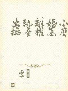 出轨离婚小孩子抚养权怎么判定