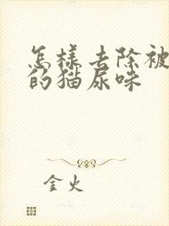 怎样去除被褥上的猫尿味