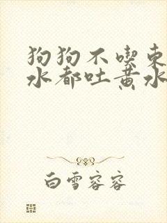 狗狗不吃东西喝水都吐黄水怎么办