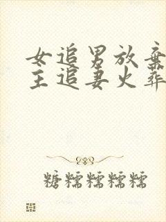 女追男放弃后男主追妻火葬场古言