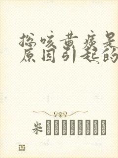 总咳黄痰是什么原因引起的