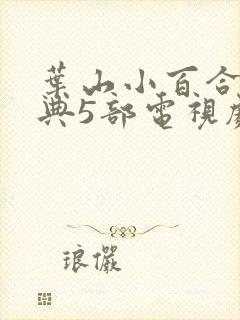 叶山小百合最经典5部电视剧