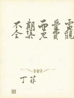 不期而爱电视剧全集免费观看封面