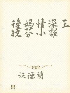 后妈情深王磊杨晓芬小说封面