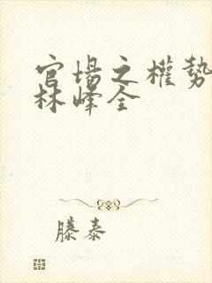 官场之权势滔天林峰全