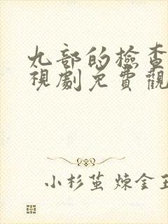 九部的检查官电视剧免费观看完整版