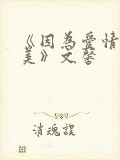 《因为爱情有多美》文馨