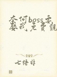 奈何boss要娶我免费观看星辰影院封面