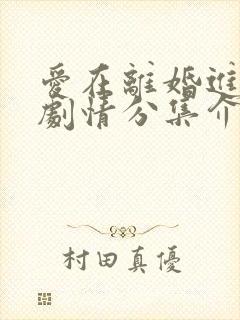 爱在离婚进行时剧情分集介绍