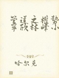 管道之权势滔天宁欣林峰小说免费